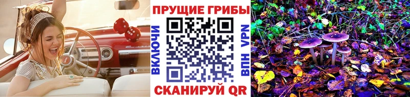 Галлюциногенные грибы GOLDEN TEACHER  ссылка на мегу   Приозерск 